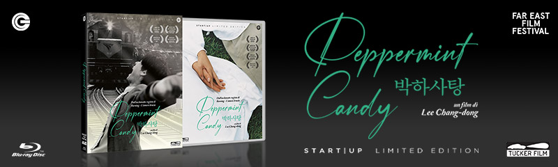 Peppermint Candy_banner Startup