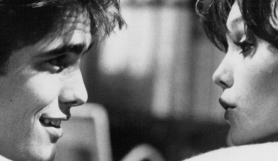 Rusty il selvaggio: un cast prezioso